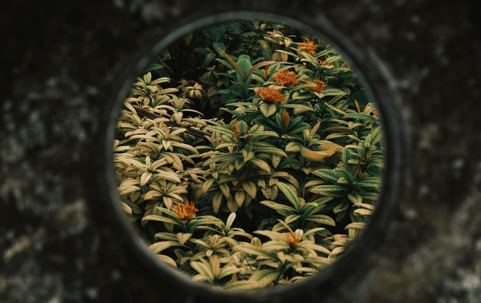Circular Design